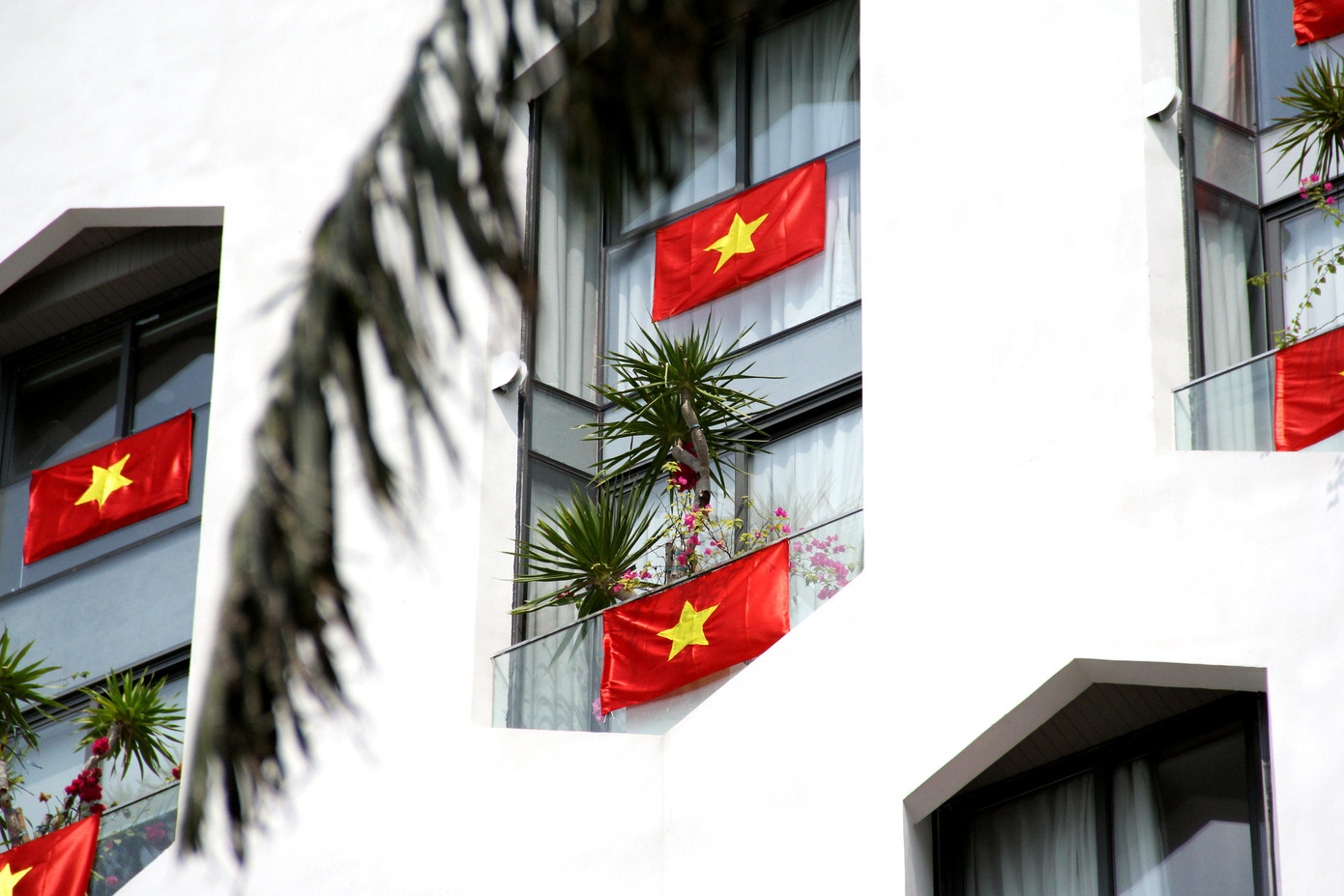 Anh Nguyễn Huy Hoàng (du khách đến từ TP Hồ Chí Minh) cho hay, anh rất ấn tượng với hình ảnh này khi nó được chia sẻ trên mạng xã hội mấy ngày trước. "Vì vậy, khi đến Đà Nẵng, tôi đã ghé qua con đường này để chụp một vài tấm hình làm kỉ niệm", anh Hoàng nói.