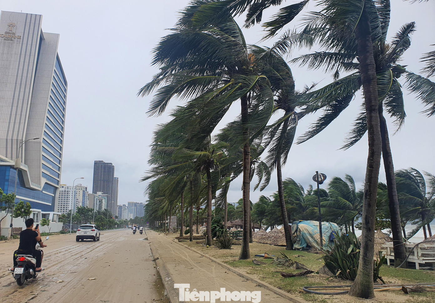 Gió lớn xô nghiêng những rặng dừa dọc bờ biển. Đêm qua, gió lốc thổi cát lên bờ, phủ kín đường biển Võ Nguyên Giáp.