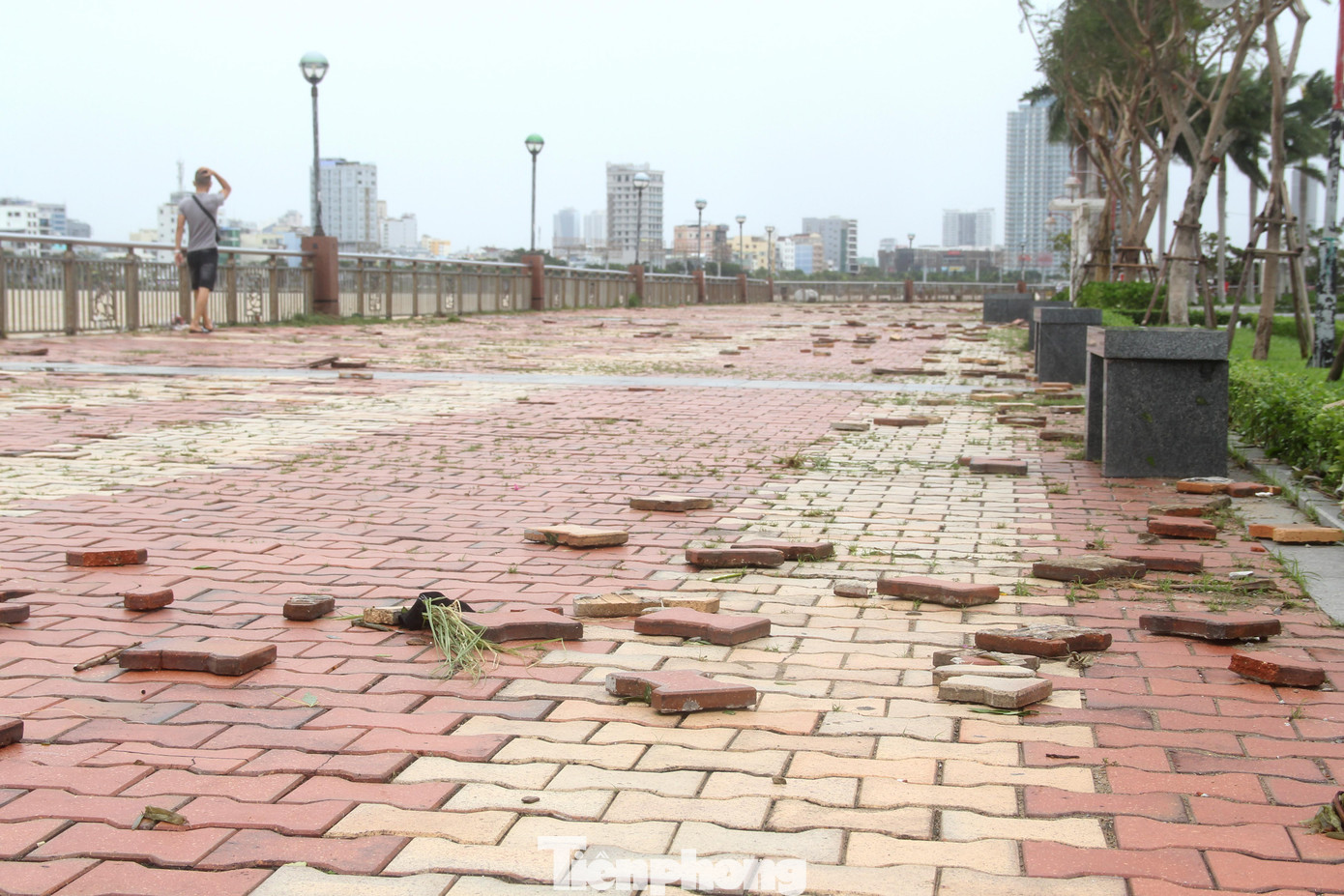 Hàng loạt viên gạch lát vỉa hè nằm la liệt trên kè sông. Hàng loạt viên gạch lát vỉa hè nằm la liệt trên kè sông.