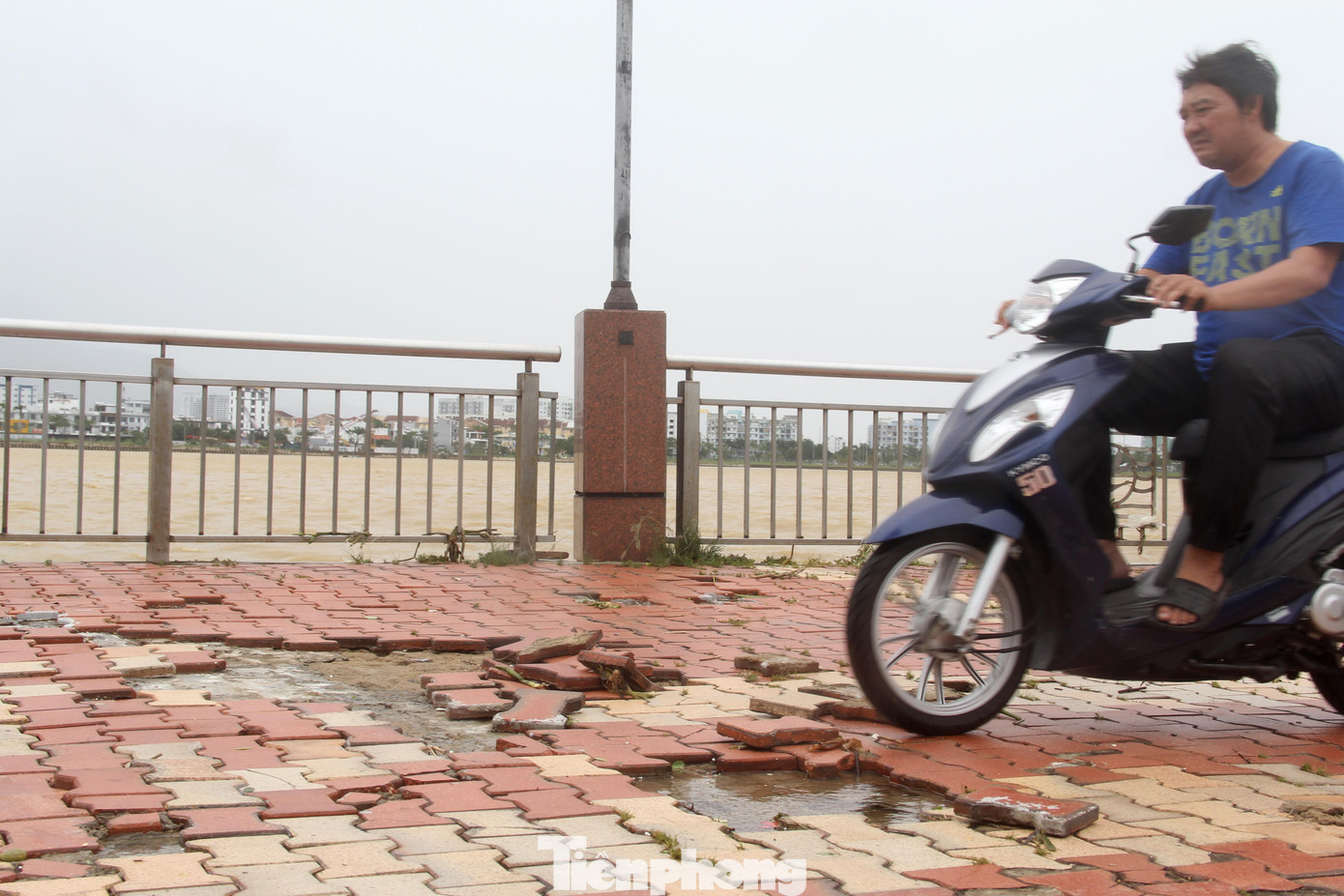 Từng mảng gạch lát bị lột lên tạo ra những ổ gà, ổ voi... trên khu vực bờ kè. Từng mảng gạch lát bị lột lên tạo ra những ổ gà, ổ voi... trên khu vực bờ kè.