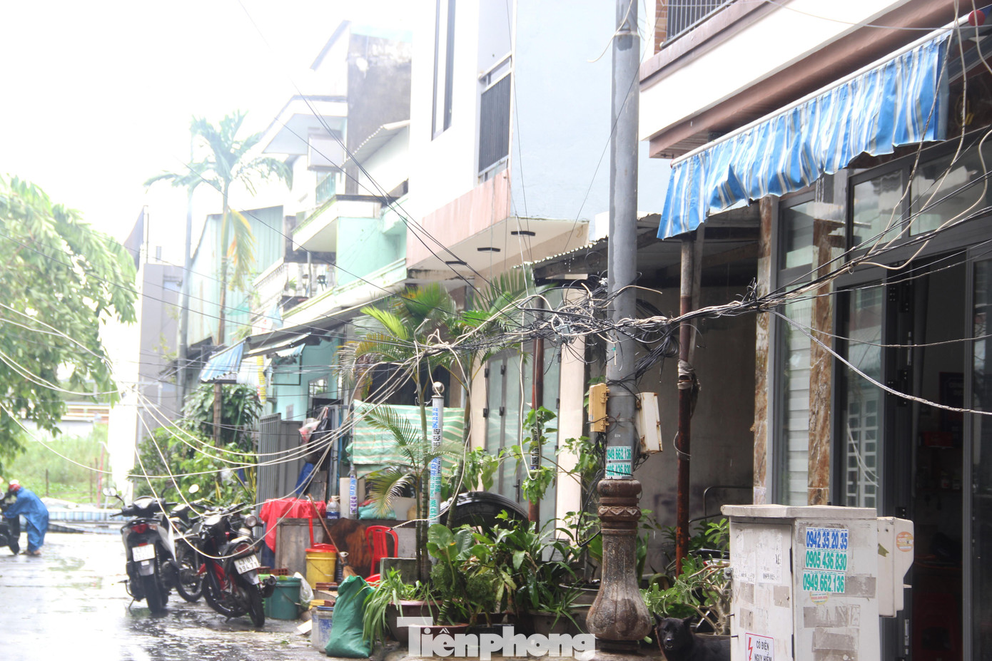 Gió lớn nhiều giờ đồng hồ cũng khiến hệ thống dây điện trong khu dân cư bị ảnh hưởng, sà xuống trước nhà dân. Đến nay, Đà Nẵng chưa ghi nhận thiệt hại về người trong cơn bão Noru. Gió lớn nhiều giờ đồng hồ cũng khiến hệ thống dây điện trong khu dân cư bị ảnh hưởng, sà xuống trước nhà dân. Đến nay, Đà Nẵng chưa ghi nhận thiệt hại về người trong cơn bão Noru.