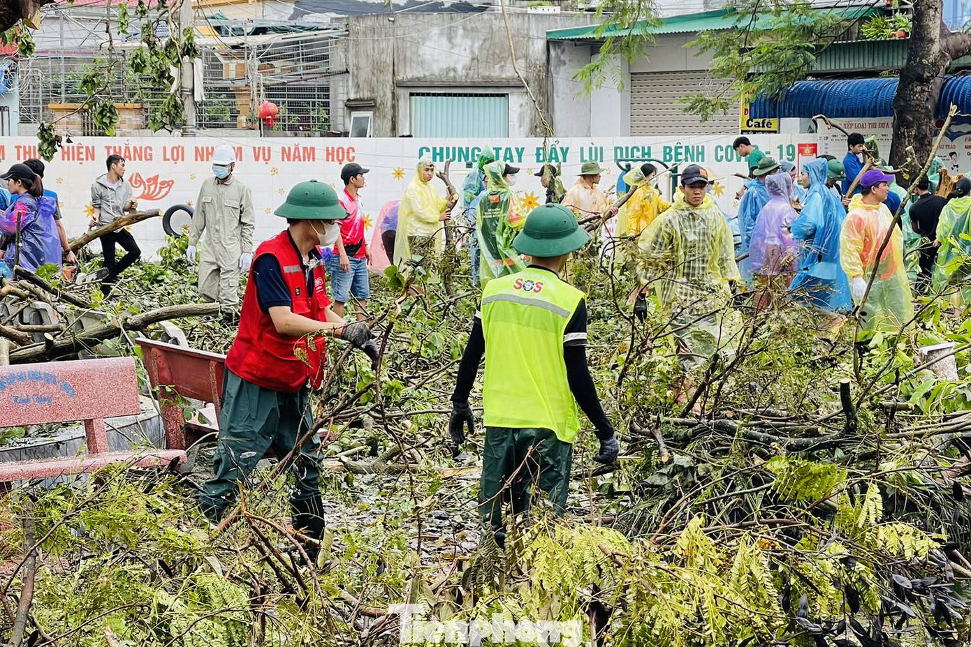 Hỗ trợ dọn dẹp các điểm trường ở quận Đồ Sơn (TP. Hải Phòng) dọn dẹp, cắt cây gãy đổ do bão số 3. Hỗ trợ dọn dẹp các điểm trường ở quận Đồ Sơn (TP. Hải Phòng) dọn dẹp, cắt cây gãy đổ do bão số 3.