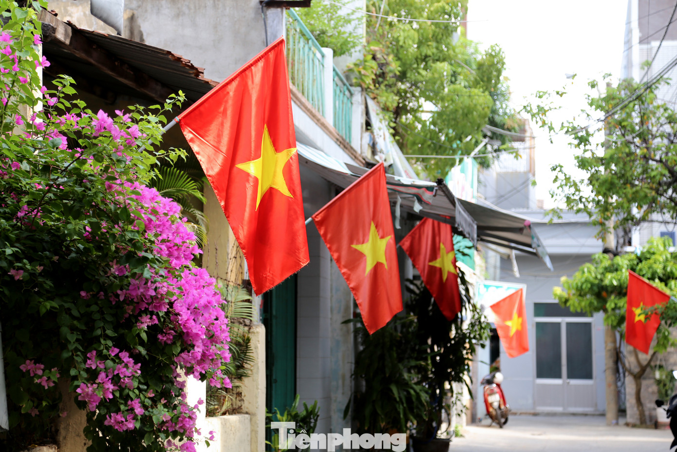 Từ nhiều ngày nay, các tuyến đường trung tâm Đà Nẵng như Nguyễn Văn Linh, Bạch Đằng, Lê Duẩn, Võ Văn Kiệt, Trần Phú... được trang trí cờ hoa rực rỡ để chào mừng Ngày Quốc khánh 2 tháng 9. Sắc cờ đỏ sao vàng ngập tràn khắp các khu dân cư. Ảnh: Giang Thanh Từ nhiều ngày nay, các tuyến đường trung tâm Đà Nẵng như Nguyễn Văn Linh, Bạch Đằng, Lê Duẩn, Võ Văn Kiệt, Trần Phú... được trang trí cờ hoa rực rỡ để chào mừng Ngày Quốc khánh 2 tháng 9. Sắc cờ đỏ sao vàng ngập tràn khắp các khu dân cư. Ảnh: Giang Thanh