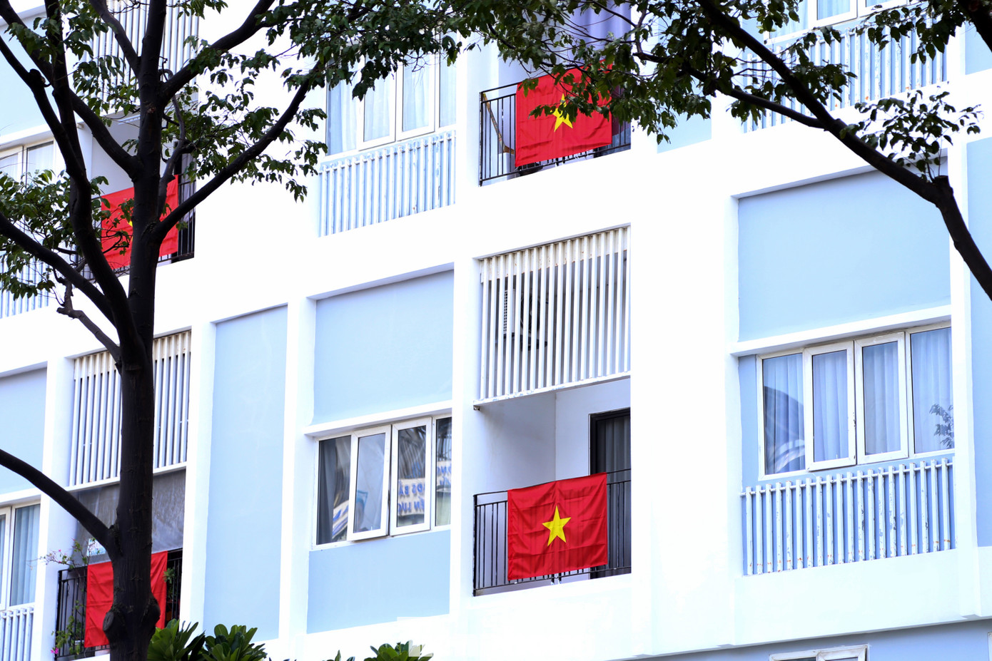 Tòa chung cư ở quận Sơn Trà rực đỏ sắc cờ, mỗi hộ dân đều treo cờ đỏ sao vàng ở ban công để đón Tết Độc lập. Tòa chung cư ở quận Sơn Trà rực đỏ sắc cờ, mỗi hộ dân đều treo cờ đỏ sao vàng ở ban công để đón Tết Độc lập.