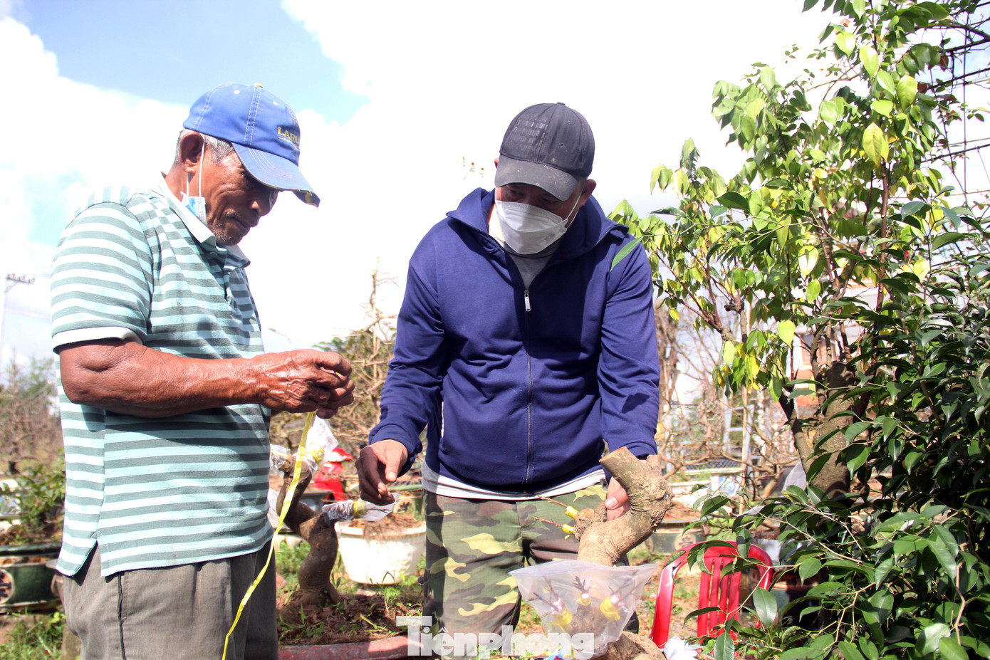 “Dịch bệnh kéo dài khiến sức mua giảm, mấy ngày này chỉ thấy khách đến hỏi giá chứ chưa chốt được đơn nào. Càng gần Tết, tôi càng thấp thỏm vì nếu không bán được sẽ không có chi phí để chăm sóc mai cho năm sau”, anh Hiền nói.