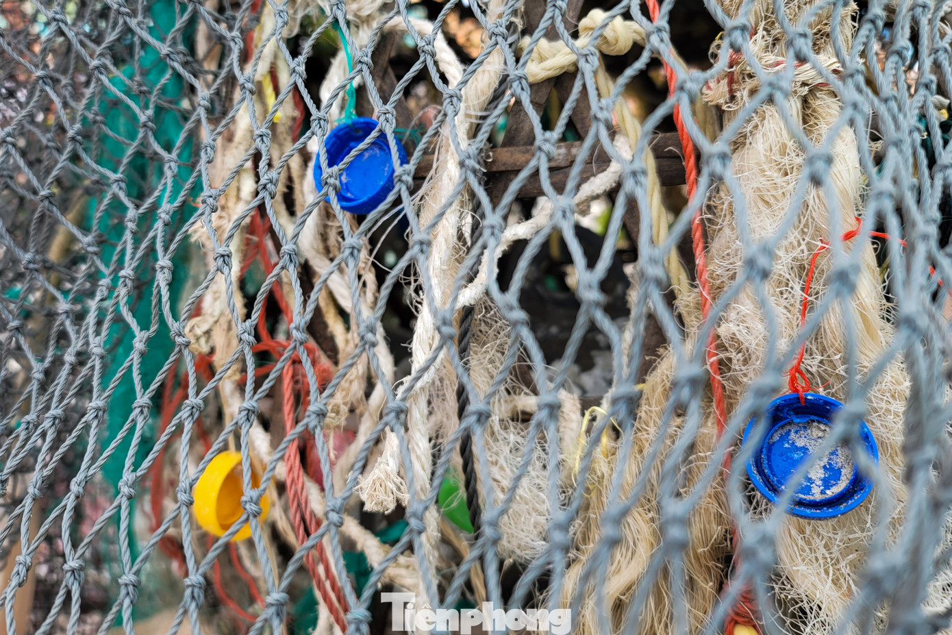 Ông Trần Xuân Thắng, Phó Giám đốc Phụ trách Trung tâm Văn hóa - Điện ảnh TP. Đà Nẵng, cho biết triển lãm Ký ức khắc họa những giá trị văn hóa truyền thống và nét đặc trưng của làng chài, dòng chảy của Ký ức là dòng chảy văn hóa, cũng là dòng chảy sắc màu tươi sáng trong tiến trình “thay da đổi thịt” của thành phố bên sông Hàn.