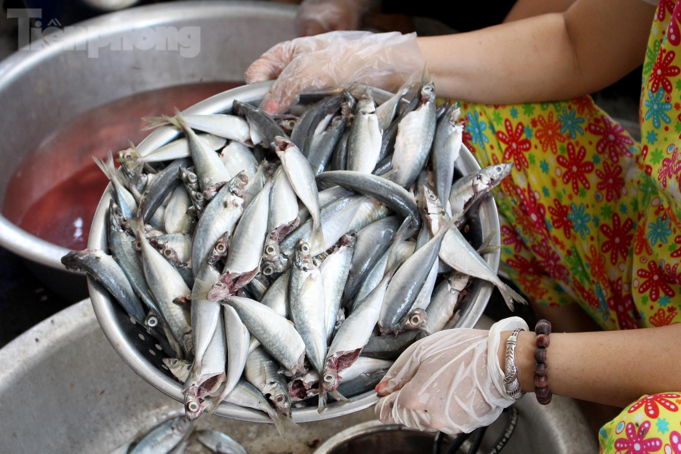 Chương trình hỗ trợ thực phẩm, nhu yếu phẩm cho miền Nam được Quỹ xe vạn tình (CLB Bếp cơm vạn tình và Chuyến xe vạn tình 0 đồng), CLB Hiếu Hạnh và mạnh thường quân Vũ Trần kêu gọi từ ngày 15/7 và nhận được sự hưởng ứng nhiệt tình của nhiều cá nhân, công ty, nhà hảo tâm… Hơn 5 tấn cá nục tươi được đặt mua ngay khi các thuyền đánh cá cập cảng Thọ Quang và được cấp đông để vận chuyển vào TP Hồ Chí Minh. Trong số đó, khoảng 5 tạ các TNV sơ chế và kho keo trước khi chuyển đi.