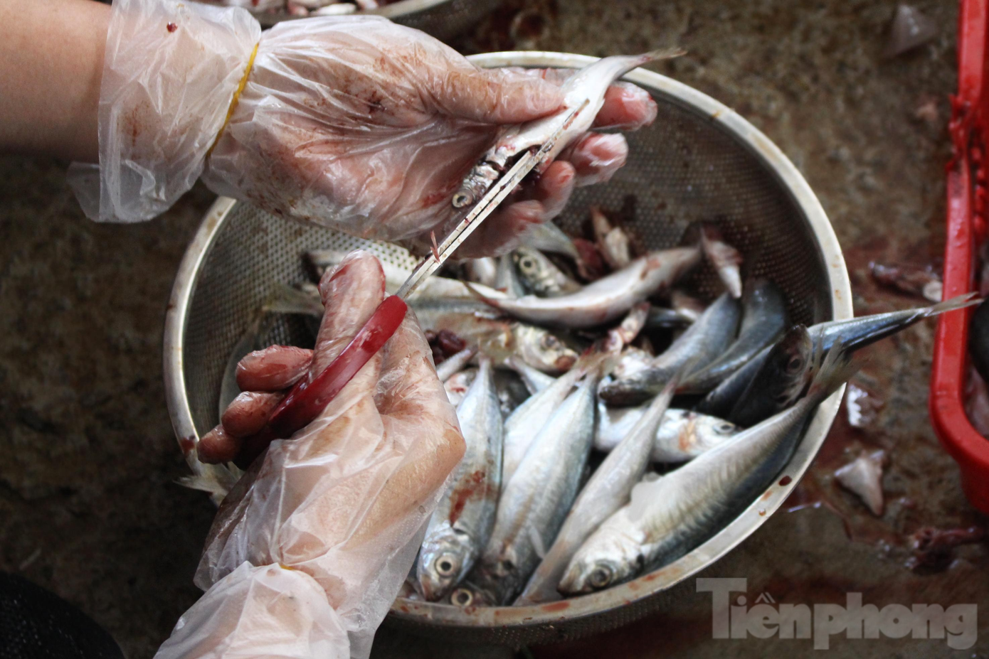 Khoảng chục tình nguyện viên cặm cụi ở các khâu: từ rửa cá, sơ chế cá, chuẩn bị hành, ớt, ướp cá… Các TNV đeo khẩu trang, bao tay và hạn chế trò chuyện. Vì thường xuyên tham gia nấu cơm, tặng quà cho người nghèo ở Đà Nẵng, chở bệnh nhân về quê miễn phí... nên các TNV của CLB Bếp cơm vạn tình được lấy mẫu xét nghiệp SARS-CoV-2 đều đặn 3 ngày/lần.