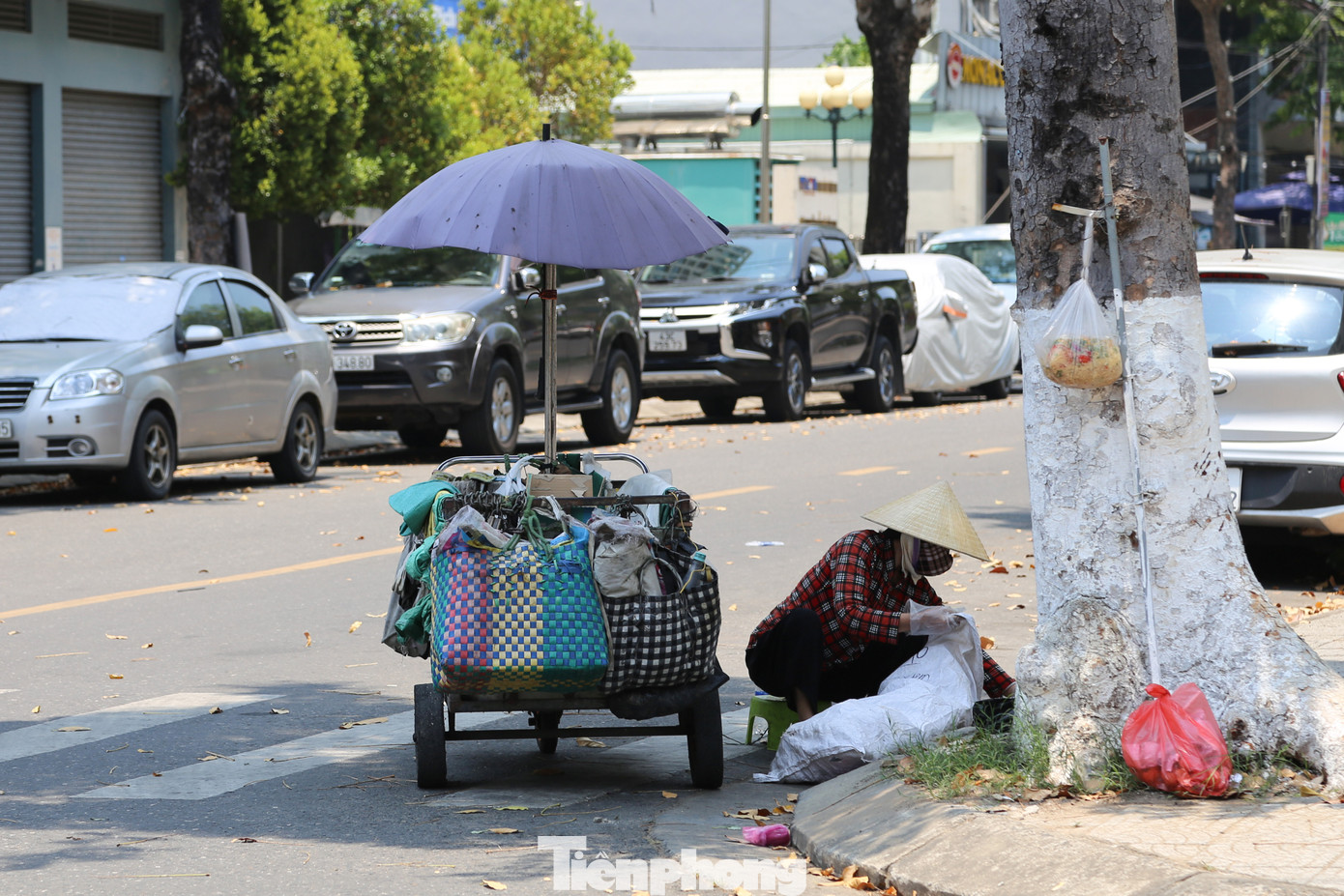 Những người đi thu mua, nhặt phế liệu cũng tranh thủ núp dưới bóng râm của cây cối ven đường để xếp nhặt, phân loại phế liệu trước khi bán về các kho.