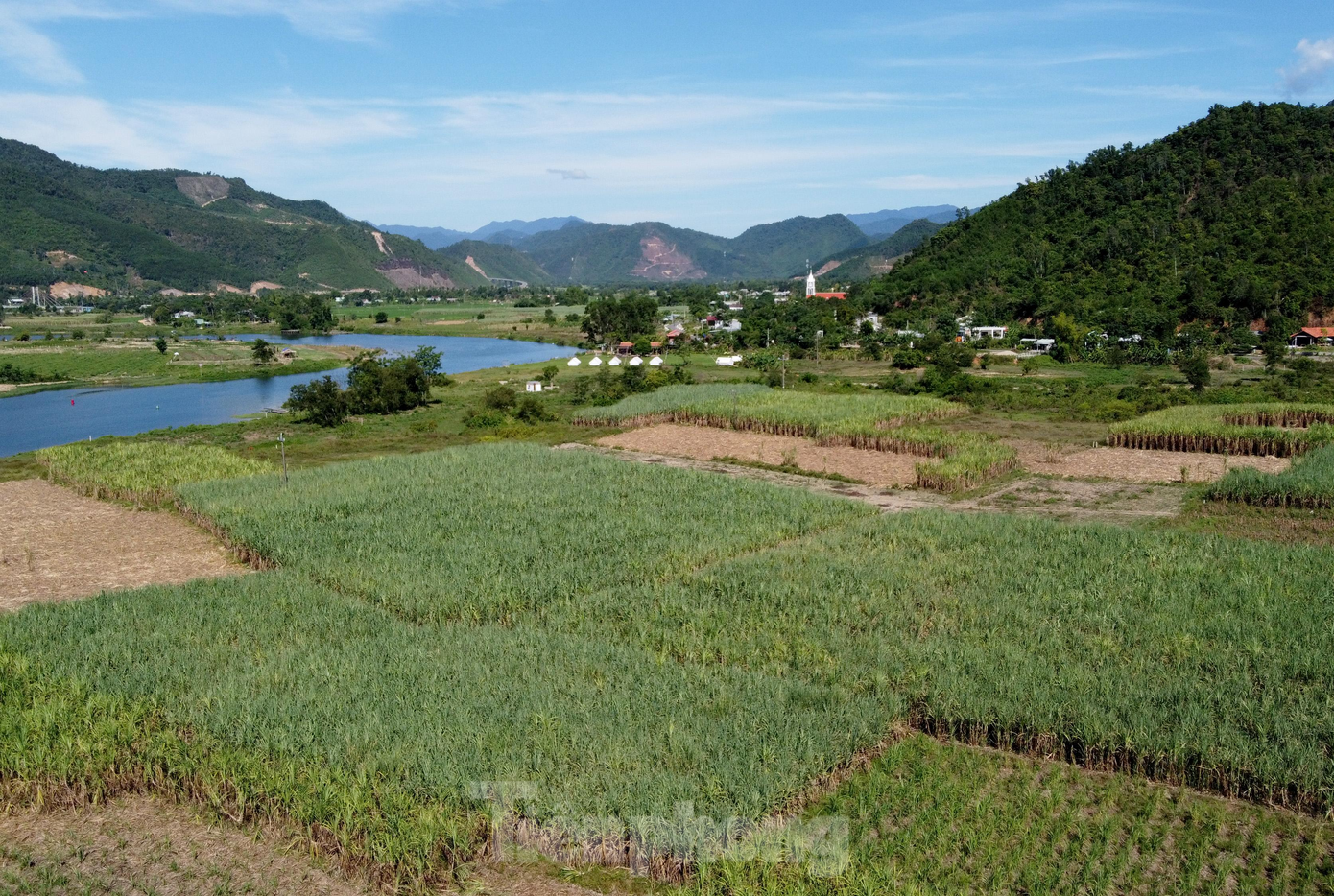 "Do tình hình dịch bệnh COVID-19 diễn biến phức tạp, kéo dài nên nông dân đang gặp khó khăn trong việc tiêu thụ. Hiện, Hội Nông dân phối hợp với các hội đoàn thể trên địa bàn triển khai điểm bán hàng nước mía đóng chai lưu động để hỗ trợ người dân. UBND xã và Hội Nông dân cũng đã gửi công văn cho Trung tâm Khuyến ngư nông lâm TP. Hiện, Trung tâm cũng đã có văn bản báo cáo Sở NN&PTNT để có phương án hỗ trợ người dân", ông Nhân nói. "Do tình hình dịch bệnh COVID-19 diễn biến phức tạp, kéo dài nên nông dân đang gặp khó khăn trong việc tiêu thụ. Hiện, Hội Nông dân phối hợp với các hội đoàn thể trên địa bàn triển khai điểm bán hàng nước mía đóng chai lưu động để hỗ trợ người dân. UBND xã và Hội Nông dân cũng đã gửi công văn cho Trung tâm Khuyến ngư nông lâm TP. Hiện, Trung tâm cũng đã có văn bản báo cáo Sở NN&PTNT để có phương án hỗ trợ người dân", ông Nhân nói.