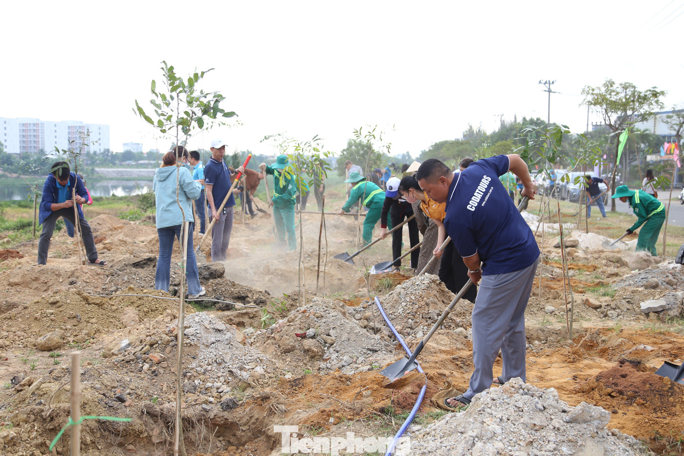 Hơn 1.000 cây xanh được trồng mới, thêm mảng xanh cho KCN