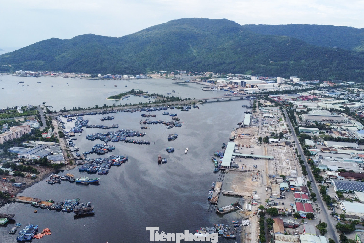 Cảng cá Thọ Quang là cảng cá lớn nhất khu vực miền Trung với âu thuyền tránh trú bão và chợ đầu mối thủy sản Thọ Quang luôn tấp nập, nhộn nhịp. Cảng cá Thọ Quang là cảng cá lớn nhất khu vực miền Trung với âu thuyền tránh trú bão và chợ đầu mối thủy sản Thọ Quang luôn tấp nập, nhộn nhịp.