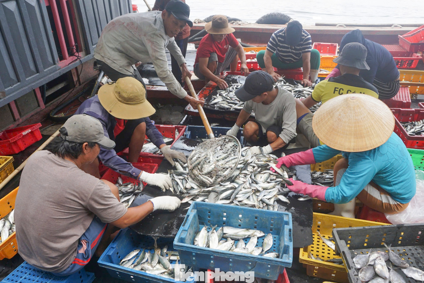 Theo Quy hoạch hệ thống cảng cá, khu neo đậu tránh trú bão cho tàu cá thời kì 2021 – 2030, tầm nhìn đến năm 2050, cả nước có 5 trung tâm nghề cá lớn gắn với các ngư trường Vịnh Bắc Bộ, biển Đông và Hoàng Sa, Nam Trung Bộ và Trường Sa, Đông Nam Bộ, Tây Nam Bộ. Trong đó, Cảng cá và Âu thuyền Thọ Quang được quy hoạch để đầu tư xây dựng Trung tâm nghề cá lớn Đà Nẵng. Theo Quy hoạch hệ thống cảng cá, khu neo đậu tránh trú bão cho tàu cá thời kì 2021 – 2030, tầm nhìn đến năm 2050, cả nước có 5 trung tâm nghề cá lớn gắn với các ngư trường Vịnh Bắc Bộ, biển Đông và Hoàng Sa, Nam Trung Bộ và Trường Sa, Đông Nam Bộ, Tây Nam Bộ. Trong đó, Cảng cá và Âu thuyền Thọ Quang được quy hoạch để đầu tư xây dựng Trung tâm nghề cá lớn Đà Nẵng.