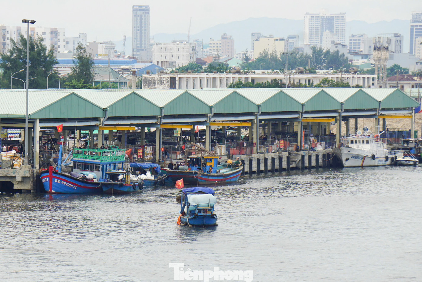 Song song với việc triển khai dự án giai đoạn 2, các hoạt động neo đậu tàu thuyền, bốc dỡ và buôn bán hải sản tại Cảng cá Thọ Quang vẫn diễn ra bình thường tại khu vực Cầu cảng số 2. Ban quản lý Cảng cá cũng bố trí khu vực để ngư dân, tiểu thương buôn bán, trao đổi hàng hóa. Song song với việc triển khai dự án giai đoạn 2, các hoạt động neo đậu tàu thuyền, bốc dỡ và buôn bán hải sản tại Cảng cá Thọ Quang vẫn diễn ra bình thường tại khu vực Cầu cảng số 2. Ban quản lý Cảng cá cũng bố trí khu vực để ngư dân, tiểu thương buôn bán, trao đổi hàng hóa.