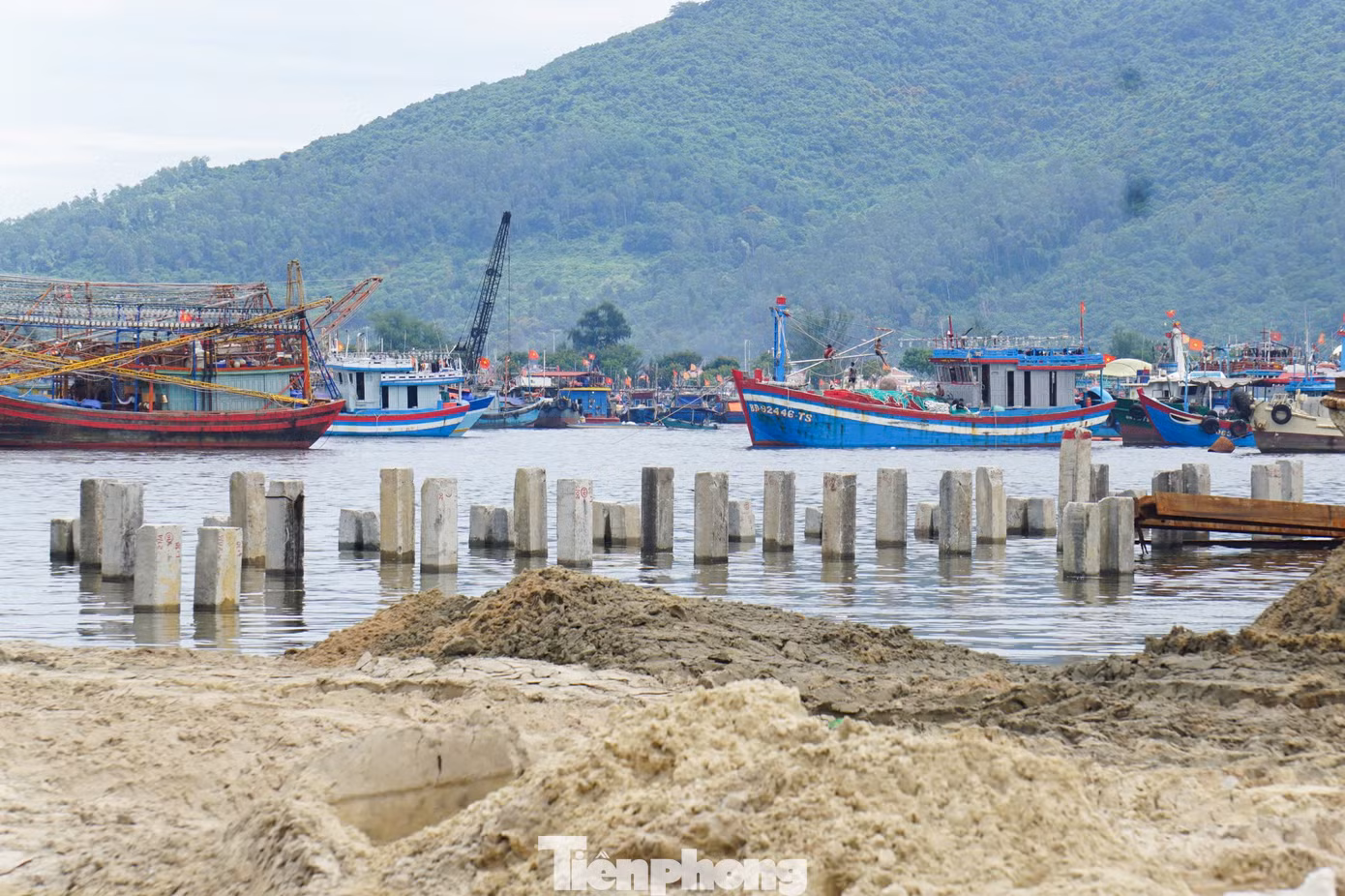 Được biết, đây là dự án nhằm nâng cấp, cải tạo cảng cá Thọ Quang rộng hơn 6ha đáp ứng tiêu chí cảng cá loại 1 kết hợp khu neo đậu tránh trú bão cấp vùng và đồng bộ dịch vụ hậu cần nghề cá. Được biết, đây là dự án nhằm nâng cấp, cải tạo cảng cá Thọ Quang rộng hơn 6ha đáp ứng tiêu chí cảng cá loại 1 kết hợp khu neo đậu tránh trú bão cấp vùng và đồng bộ dịch vụ hậu cần nghề cá.