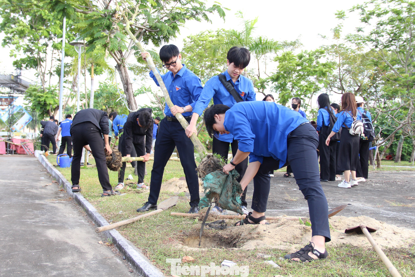 Ra quân Tết trồng cây trong khuôn viên Cung Thiếu nhi Đà Nẵng.