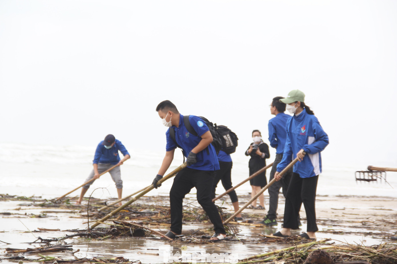 Sáng nay, cành cây, thân gỗ khô... vẫn tiếp tục theo sóng biển tấp liên tục vào bờ.