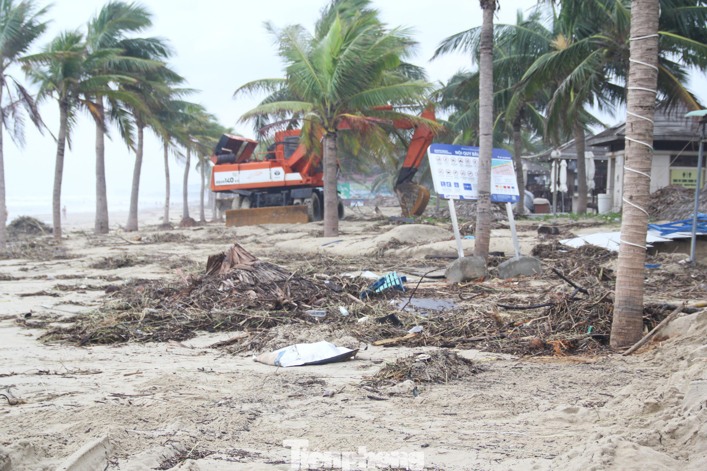 Sáng 15/10, các bãi biển du lịch Đà Nẵng như Mỹ Khê, T20, Phạm Văn Đồng, Mân Thái... ngập rác. Lượng rác lớn theo sóng biển tấp vào bờ, để lại hình ảnh bãi biển xơ xác, ngổn ngang. Ảnh: Giang Thanh