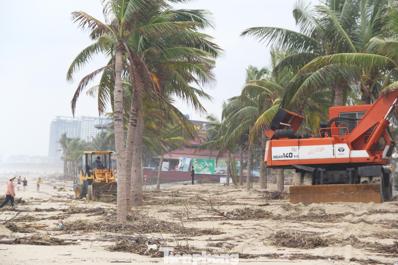 Sáng 15/10, các bãi biển du lịch Đà Nẵng như Mỹ Khê, T20, Phạm Văn Đồng, Mân Thái... ngập rác. Lượng rác lớn theo sóng biển tấp vào bờ, để lại hình ảnh bãi biển xơ xác, ngổn ngang. Ảnh: Giang Thanh