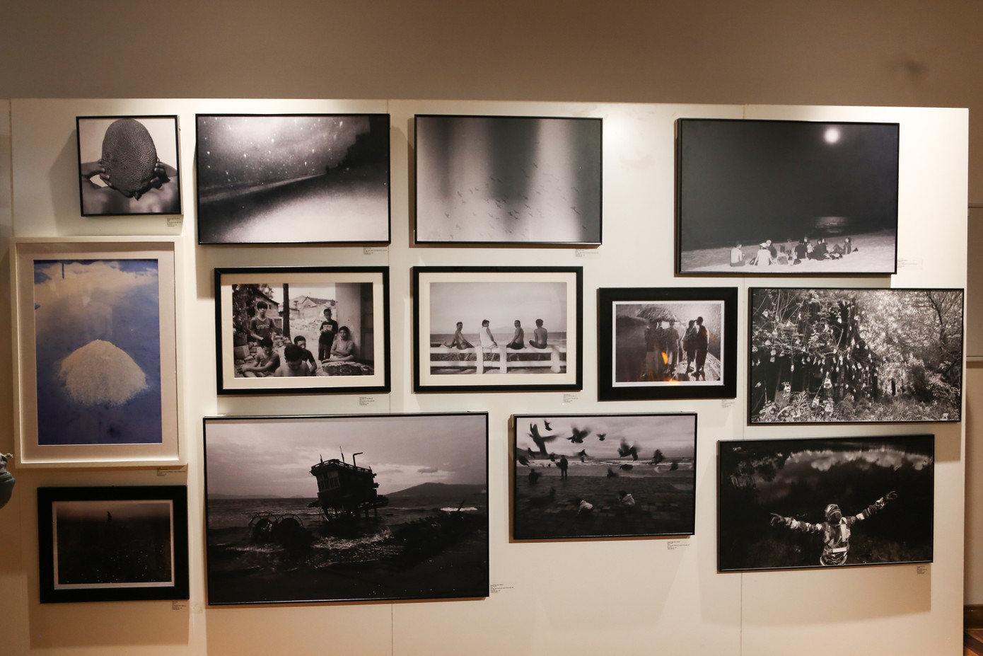 Đây là triển lãm đầu tiên của dự án Da Nang Art Fair với mục tiêu kết nối các tác phẩm nghệ thuật đến gần hơn với công chúng, tìm kiếm "đầu ra" cho các tác phẩm. Đồng hiện trùng miêu sẽ kéo dài từ ngày đến ngày 27/7.