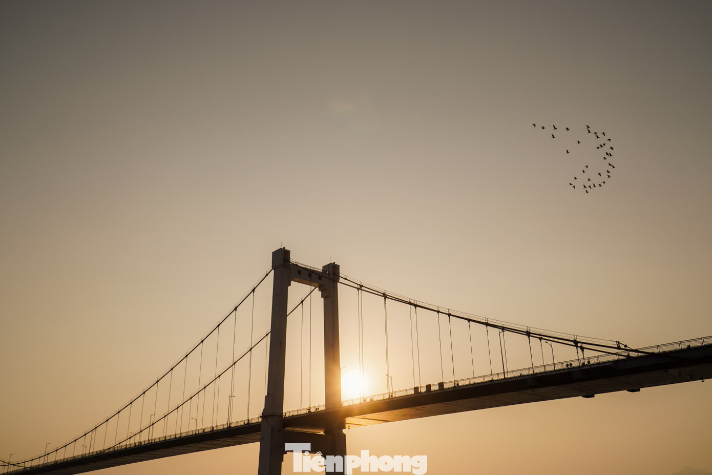 Các đợt nắng nóng kéo dài đầu mùa hè càng khiến khu vực chân cầu Thuận Phước trở nên tấp nập, nhộn nhịp.