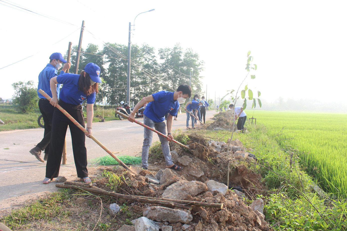 Trong giai đoạn 2021 - 2025, tuổi trẻ Đà Nẵng dự kiến trồng mới 850 ngàn cây xanh Trong giai đoạn 2021 - 2025, tuổi trẻ Đà Nẵng dự kiến trồng mới 850 ngàn cây xanh