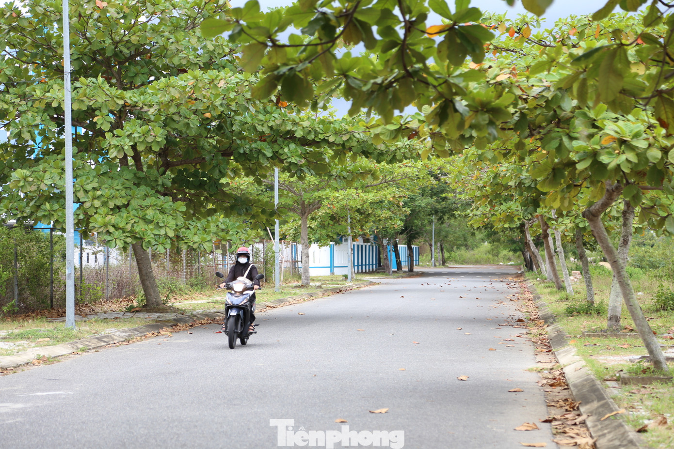 Theo ghi nhận, đến nay, một số trường đại học, cao đẳng như: Đại học Sư phạm Kỹ thuật, Đại học CNTT&amp;TT Việt - Hàn, Khoa Giáo dục Quốc phòng An ninh, Trường Y Dược... (Đại học Đà Nẵng) đã xây dựng ở khu vực này. Hệ thống đường giao thông kết nối đã và đang tiếp tục được hoàn thiện.