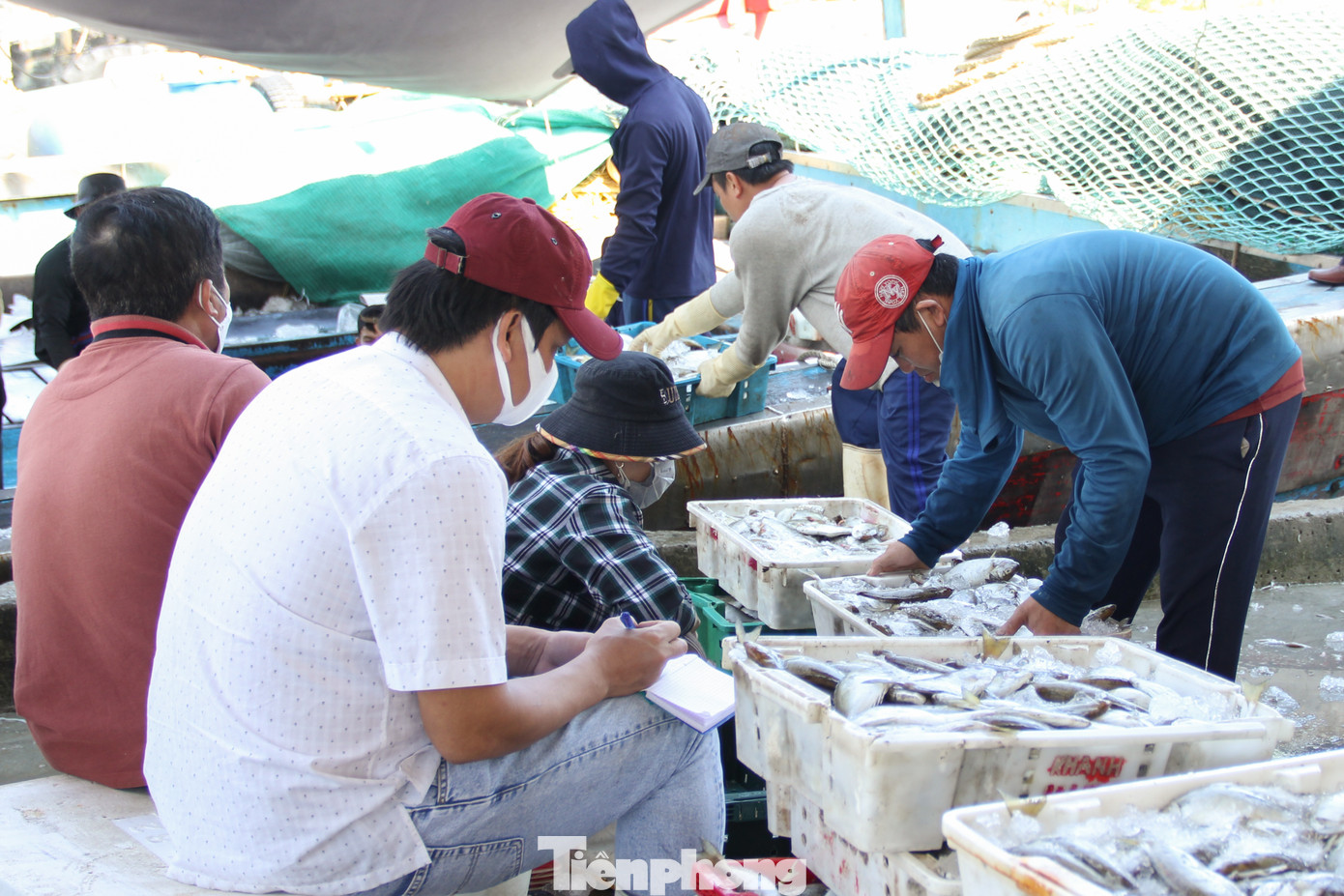 11 chợ điểm ở giai đoạn này gồm: Chợ Hàn, Chợ Cồn, chợ Bắc Mỹ An, chợ Cẩm Lệ, chợ Hòa Khánh, chợ Túy Loan, chợ đầu mối Hòa Phước, chợ Hưởng Phước, chợ An Hải Bắc, chợ đầu mối thủy sản Thọ Quang, chợ Đông Hải.