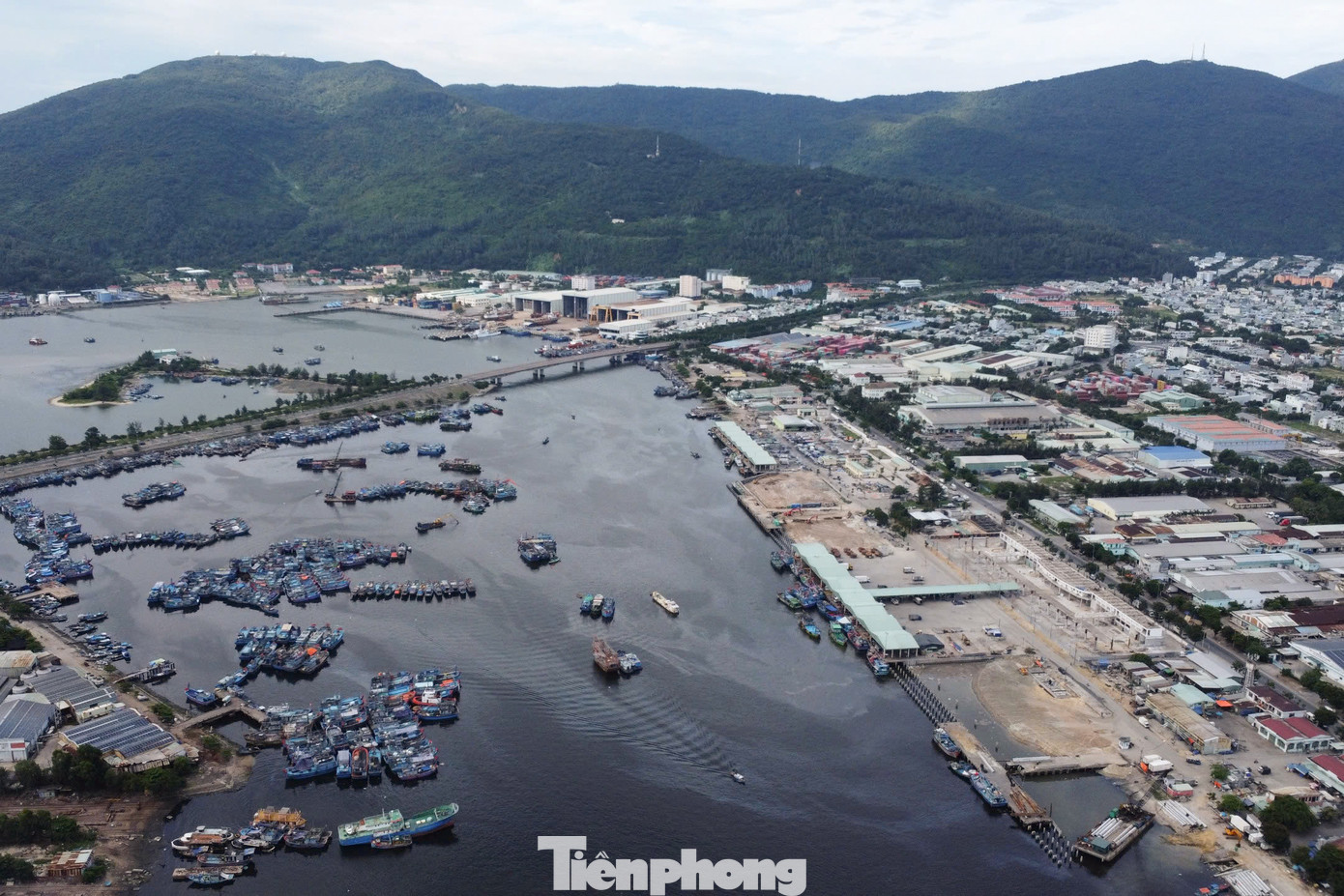 Cũng nằm trong hệ thống chợ điểm phục vụ du lịch, thời gian qua, chợ đầu mối thủy sản Thọ Quang (quận Sơn Trà) đang được đầu tư xây dựng, nâng cấp. Gắn liền với Cảng cá Thọ Quang, đây được xem là chợ đầu mối thủy sản lớn nhất miền Trung, luôn tấp nập từ nửa đêm cho đến sáng.