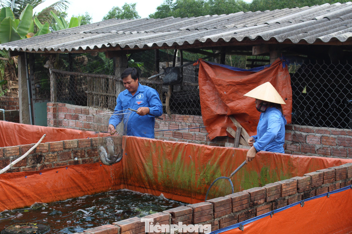 Dư nợ của Đoàn Thanh niên thông qua Chương trình ủy thác với Ngân hàng chính sách xã hội trên địa bàn đạt 604 tỷ đồng, thông qua 327 tổ tiết kiệm và vay vốn đã cho 13.612 hộ gia đình chính sách và thanh niên vay vốn phát triển kinh tế, giải quyết việc làm. Ảnh: Giang Thanh Dư nợ của Đoàn Thanh niên thông qua Chương trình ủy thác với Ngân hàng chính sách xã hội trên địa bàn đạt 604 tỷ đồng, thông qua 327 tổ tiết kiệm và vay vốn đã cho 13.612 hộ gia đình chính sách và thanh niên vay vốn phát triển kinh tế, giải quyết việc làm. Ảnh: Giang Thanh