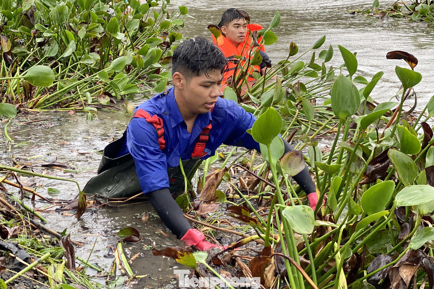 Theo anh Lê Công Hùng, Phó Bí thư Thành Đoàn Đà Nẵng, với việc lựa chọn huyện Hòa Vang là địa bàn hỗ trợ trọng điểm, trong chiến dịch Tình nguyện hè, các đơn vị đồng loạt triển khai nhiều công trình, phần việc để góp phần giúp địa phương hoàn thành tiêu chí xây dựng nông thôn mới, góp sức trẻ vào quá trình phấn đấu đưa huyện Hòa Vang trở thành thị xã trong thời gian sớm nhất.