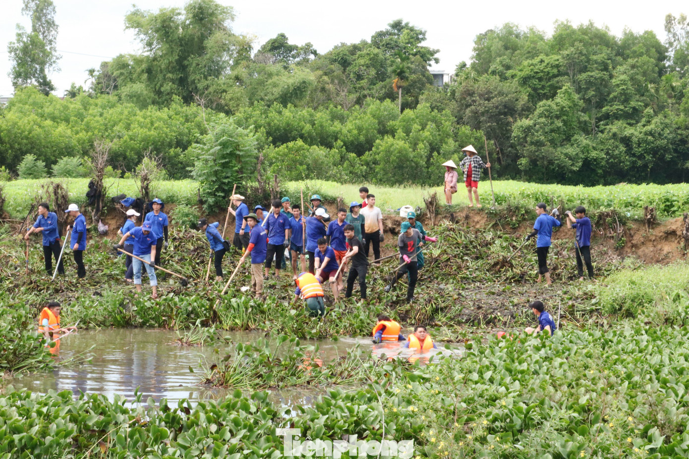 Khu vực hồ có diện tích khoảng 20.000 m2, nước trũng sâu, bị bèo, các loại cây cối bủa vây, cản trở dòng chảy vào ruộng mương, gây ra tình trạng ngập lụt vào mùa mưa.