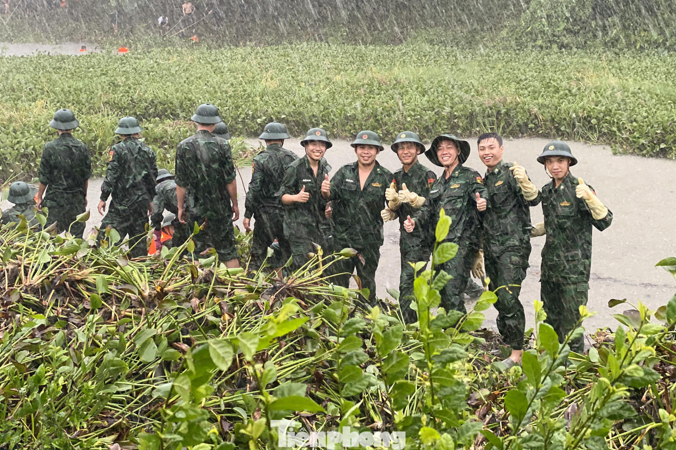 Hoạt động dọn bèo, khơi thông dòng chảy diễn ra liên tục từ nay đến hết ngày 26/6. Các tình nguyện viên được phân chia theo từng ca sáng – chiều để nhanh chóng hoàn thành công việc.