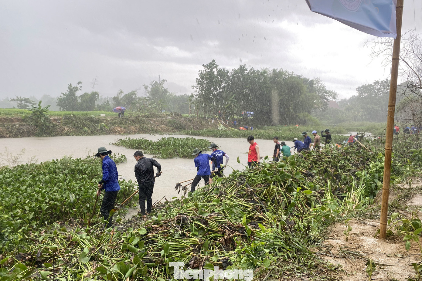 Dù thời tiết không thuận lợi, buổi sáng nóng bức, buổi chiều mưa lớn, hàng trăm tình nguyện viên vẫn hăng say, nhiệt tình dọn dẹp bèo, lục bình, cây dại và rác thải ở khu vực mặt hồ, xung quanh hồ.