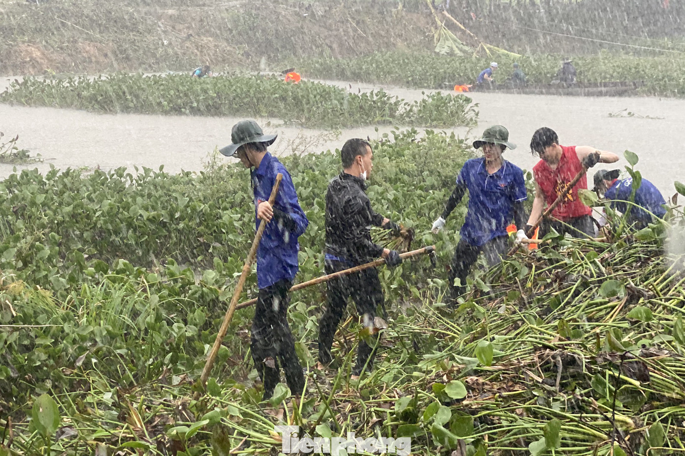 Dù thời tiết không thuận lợi, buổi sáng nóng bức, buổi chiều mưa lớn, hàng trăm tình nguyện viên vẫn hăng say, nhiệt tình dọn dẹp bèo, lục bình, cây dại và rác thải ở khu vực mặt hồ, xung quanh hồ.