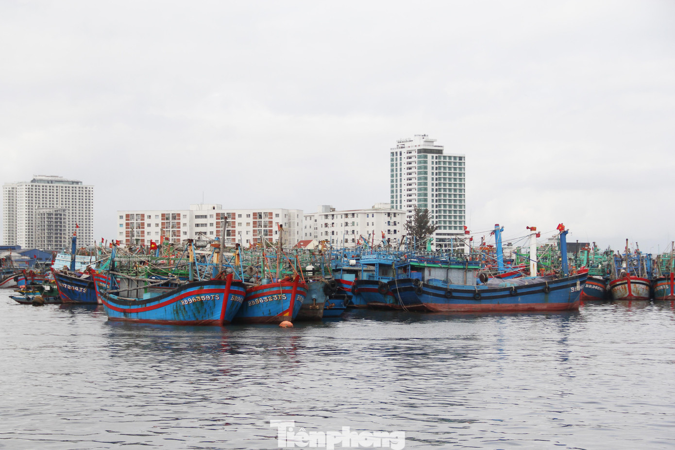 Những ngày này, tại cảng cá Thọ Quang (quận Sơn Trà, Đà Nẵng), các đội thuyền đánh cá của ngư dân các tỉnh miền Trung đang tất bật chuẩn bị hậu cần để vươn khơi đánh bắt sau Tết Nguyên đán.