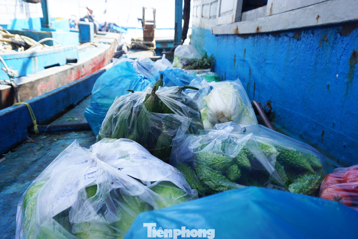 "Chuyến biển đầu năm quan trọng lắm, "mở bát" cho cả một năm đánh bắt, làm ăn. Tui cũng chỉ mong thời tiết thuận lợi để chuyến biển có lời, cho anh em yên tâm vươn khơi bám biển. Cũng mong năm tới dịch bệnh được đẩy lùi để việc đánh bắt, buôn bán dễ dàng hơn", ông Tín chia sẻ.