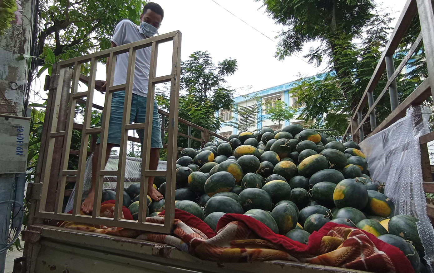 Chuyến xe của nhóm từ thiện Sen Việt từ Bình Định ra Đà Nẵng để mua 6 tấn dưa hỗ trợ bà con trồng dưa ở Quảng Nam