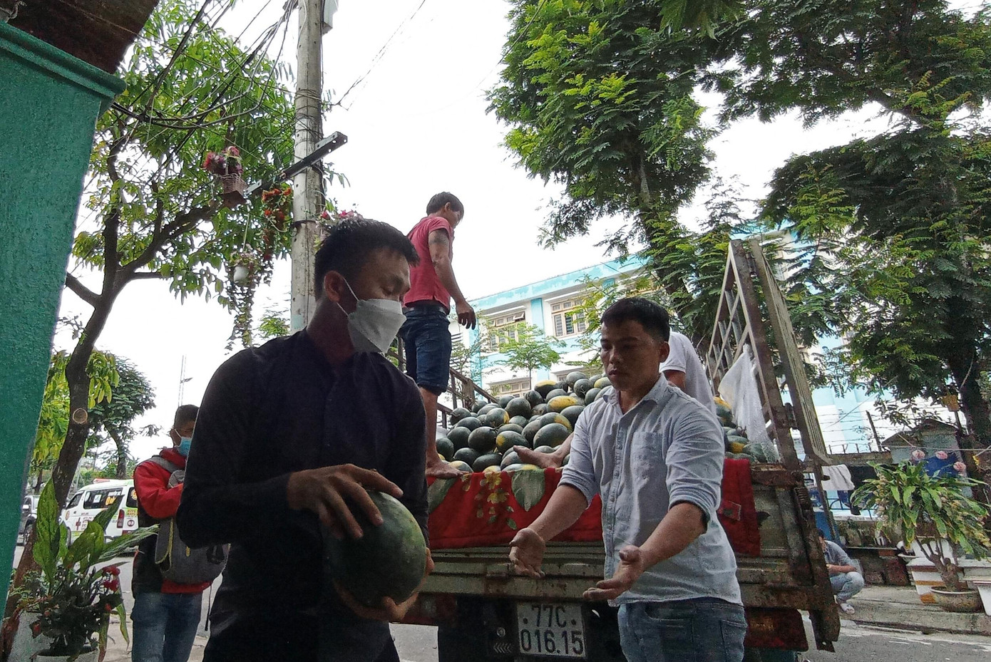 Toàn bộ số dưa này sẽ được phát miễn phí cho bà con khó khăn ở Bình Định