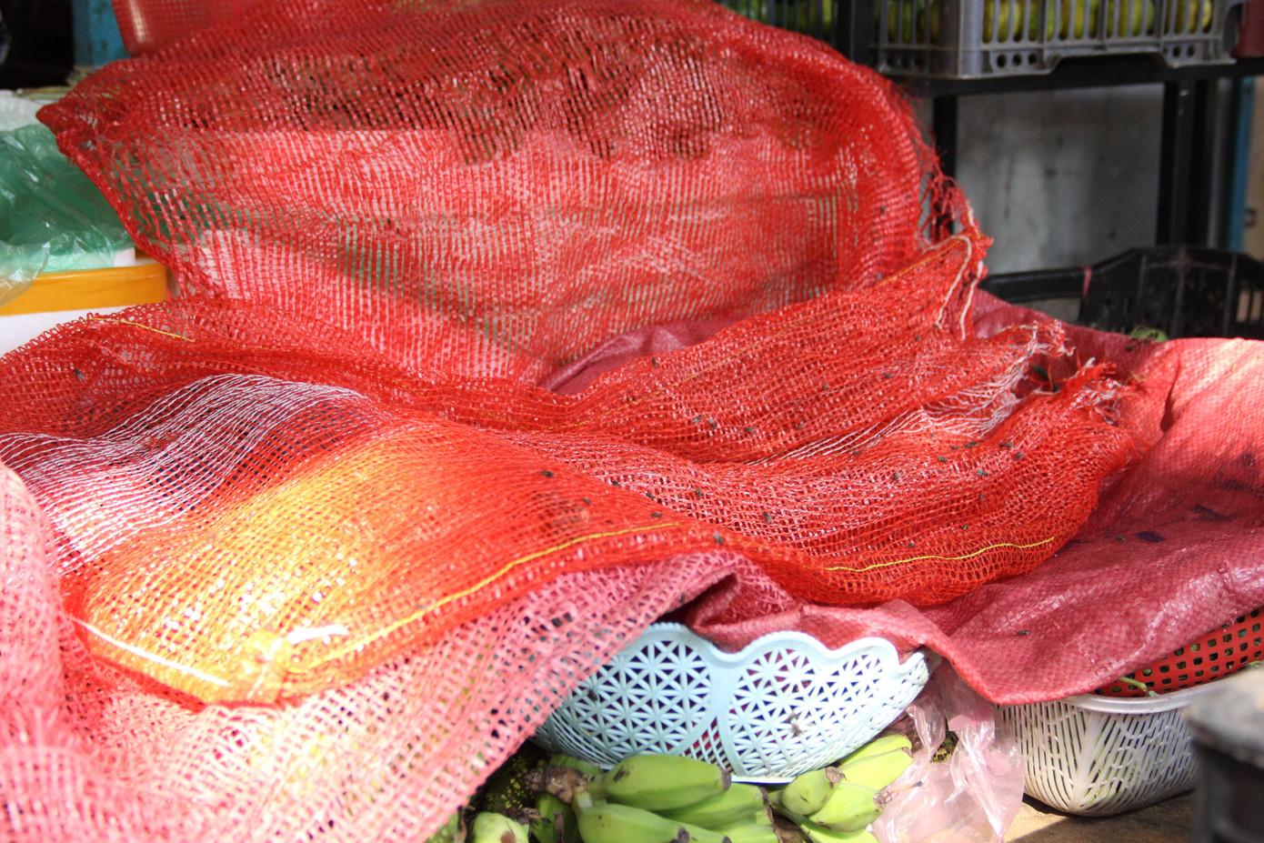 Mùi hôi thối khiến ruồi, nhặng, muỗi kéo đến, bu đầy trên các bề mặt, đồ đạc, đồ ăn... Người dân phải đóng cửa liên tục để tránh mùi hôi và ruồi nhặng Mùi hôi thối khiến ruồi, nhặng, muỗi kéo đến, bu đầy trên các bề mặt, đồ đạc, đồ ăn... Người dân phải đóng cửa liên tục để tránh mùi hôi và ruồi nhặng