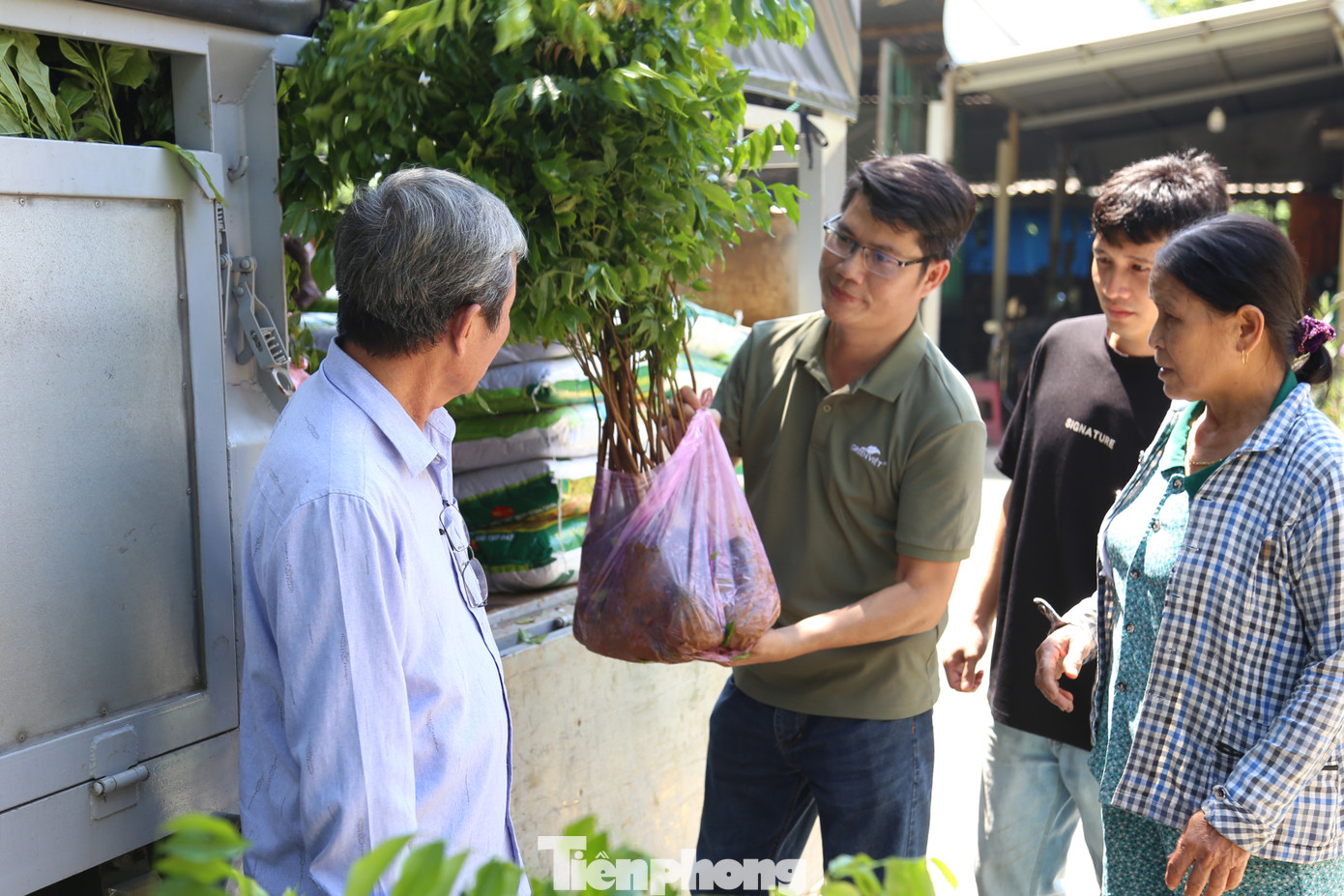 4.400 cây giống sẽ được các hộ trồng để phủ xanh gần 5ha rừng tự nhiên trên địa bàn 4.400 cây giống sẽ được các hộ trồng để phủ xanh gần 5ha rừng tự nhiên trên địa bàn