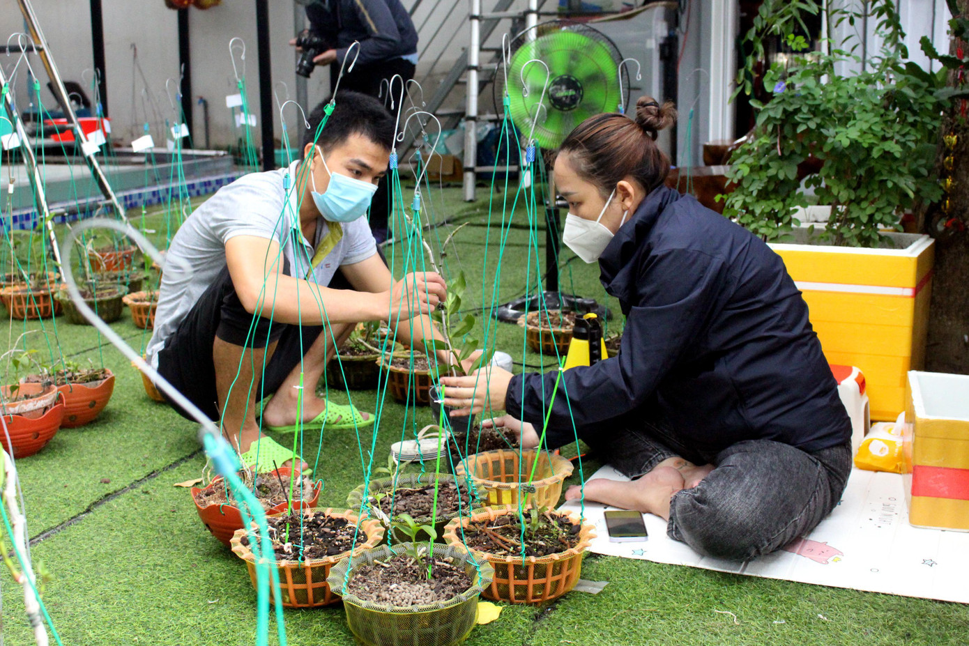 Thảo (bìa phải) cùng nhân viên làm giá thể mới, sang chậu để giao lan cho khách. Chỉ cần biết tưới nước đúng cách, những giá thể mới này có thể giúp lan sống tốt trong 2 năm Thảo (bìa phải) cùng nhân viên làm giá thể mới, sang chậu để giao lan cho khách. Chỉ cần biết tưới nước đúng cách, những giá thể mới này có thể giúp lan sống tốt trong 2 năm