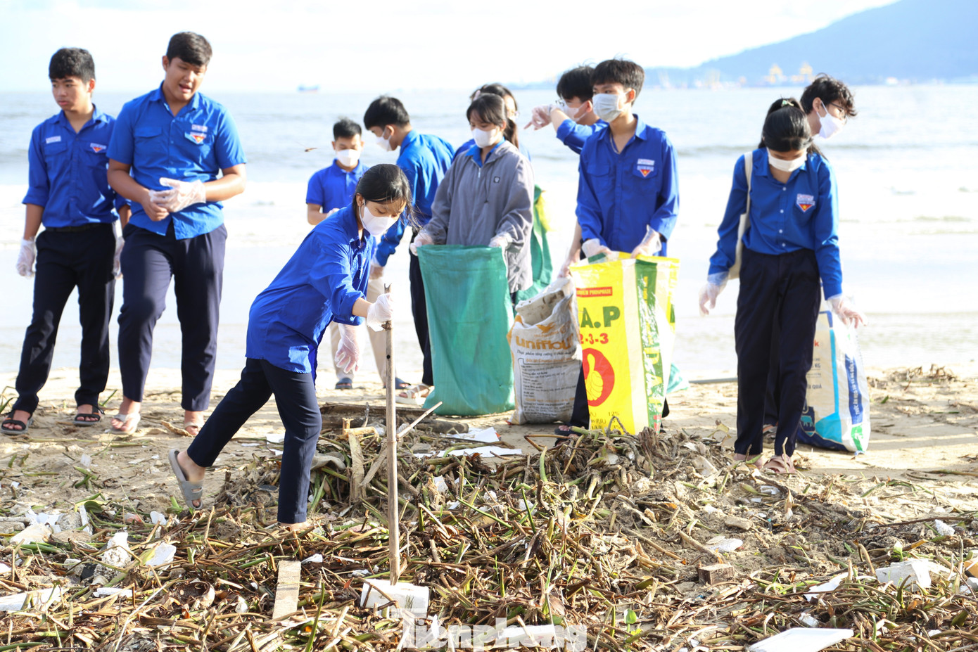 Trước đó, từ sáng 19/10, ngay sau khi chấm dứt đợt mưa lớn, Thành Đoàn đã chỉ đạo các đội hình thanh niên tình nguyện đồng loạt ra quân dọn vệ sinh môi trường tại các bãi biển du lịch.