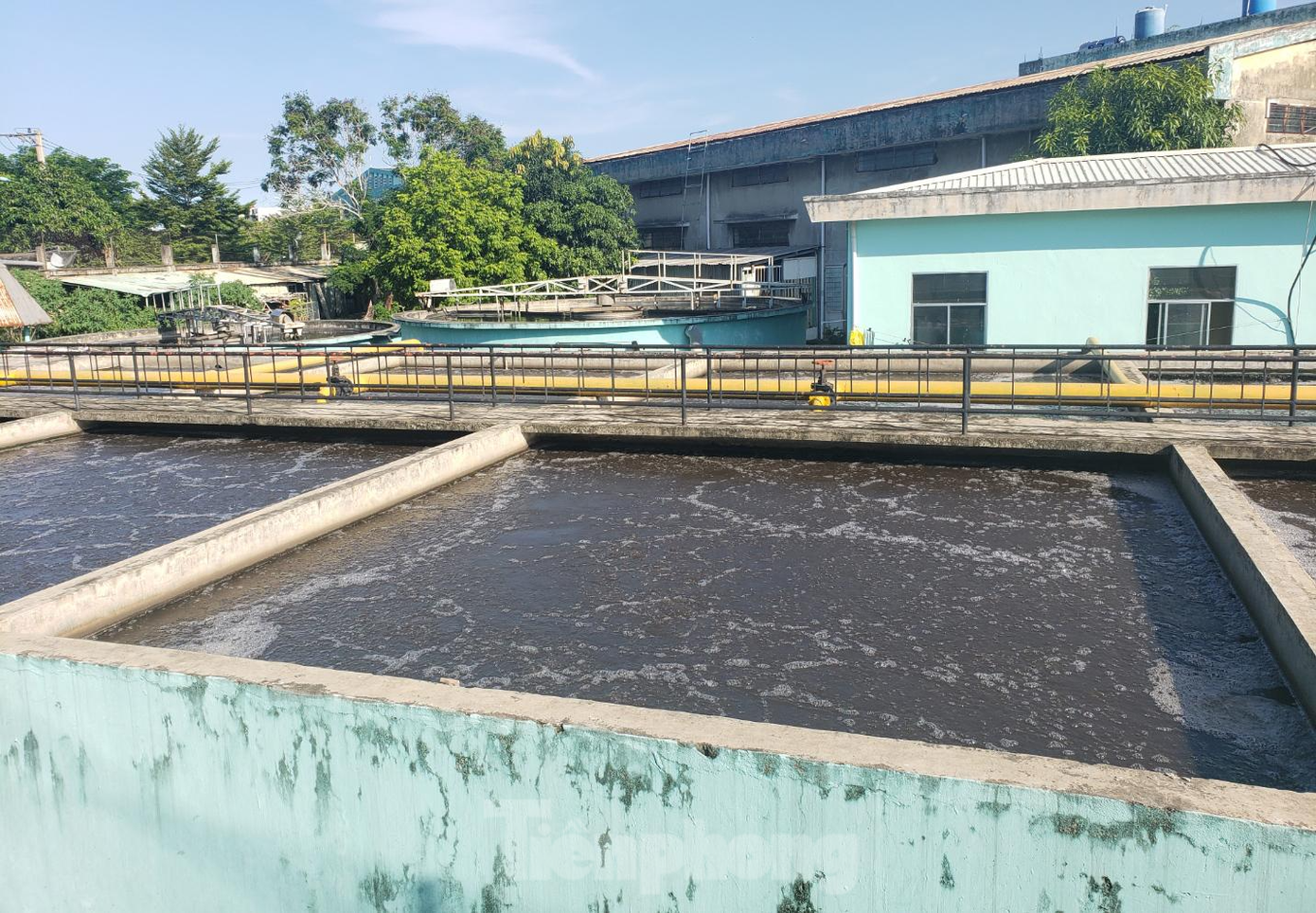 Tuy nhiên, mùi hôi thối từ các bể chứa nước thải phía bên kia bờ tường vẫn liên tục bốc lên ảnh hưởng đến đời sống của người dân Tuy nhiên, mùi hôi thối từ các bể chứa nước thải phía bên kia bờ tường vẫn liên tục bốc lên ảnh hưởng đến đời sống của người dân