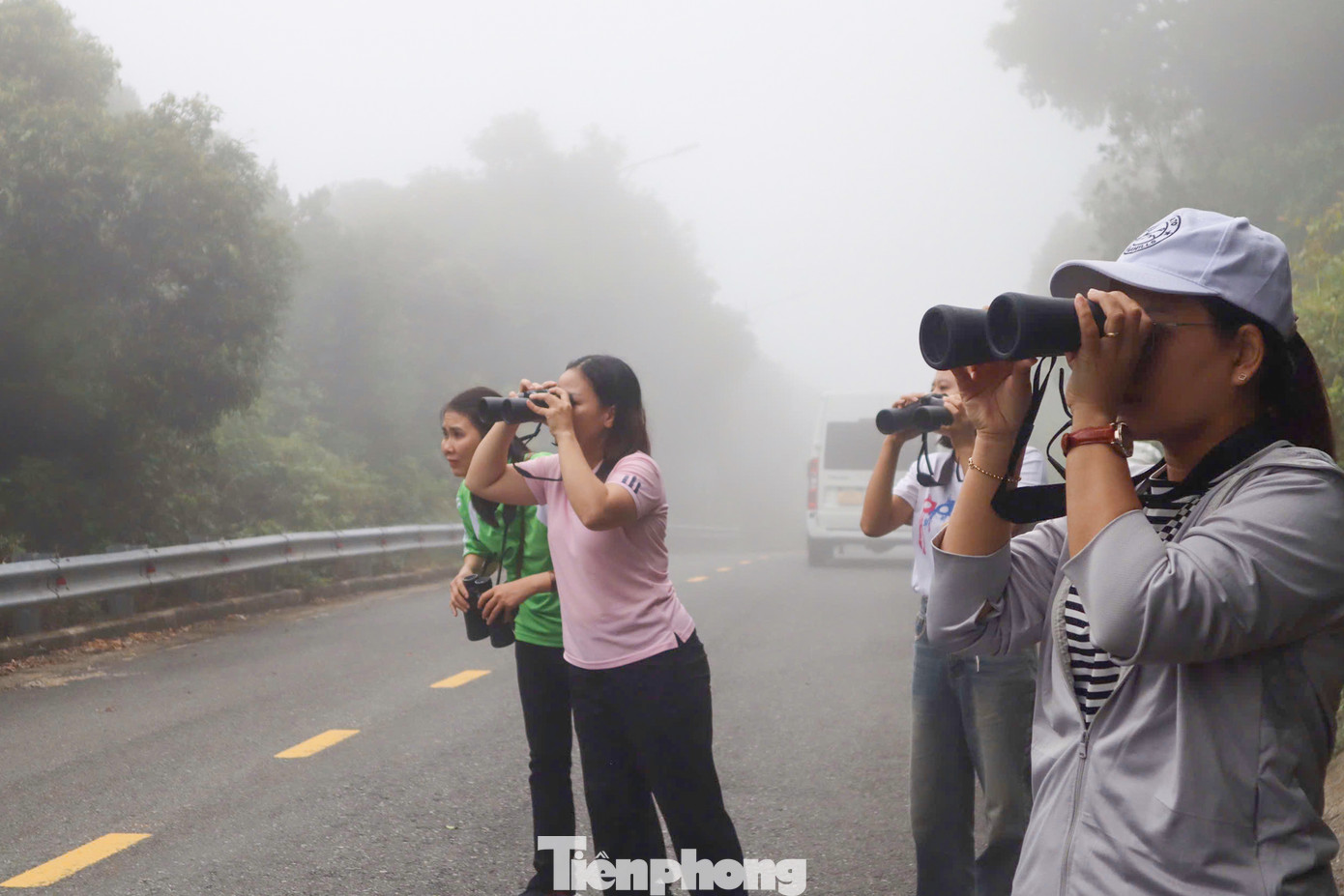 Tham gia hành trình trải nghiệm Sơn Trà, các bạn trẻ được hòa mình vào thiên nhiên Tham gia hành trình trải nghiệm Sơn Trà, các bạn trẻ được hòa mình vào thiên nhiên