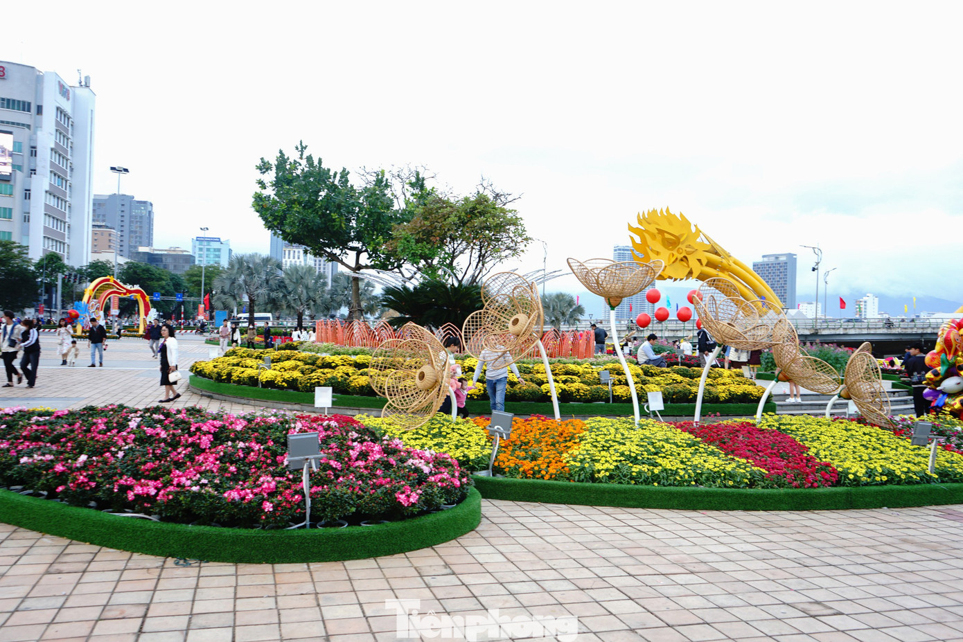 Các điểm trang trí hoa Tết gồm Trung tâm Hành chính, đường Thành Điện Hải; vỉa hè phía Đông 42 Bạch Đằng (trước cầu chữ T), vỉa hè trước 72 Bạch Đằng, Quảng trường phía bắc đuôi Cầu Rồng (quận Hải Châu), Quảng trường phía nam đuôi Cầu Rồng (quận Hải Châu), trước vỉa hè số 12 Trần Phú, trước vỉa hè số 32 Bạch Đằng, trước vỉa hè số 23 Trần Phú, Quảng trường phía Bắc đầu Cầu Rồng (quận Sơn Trà).