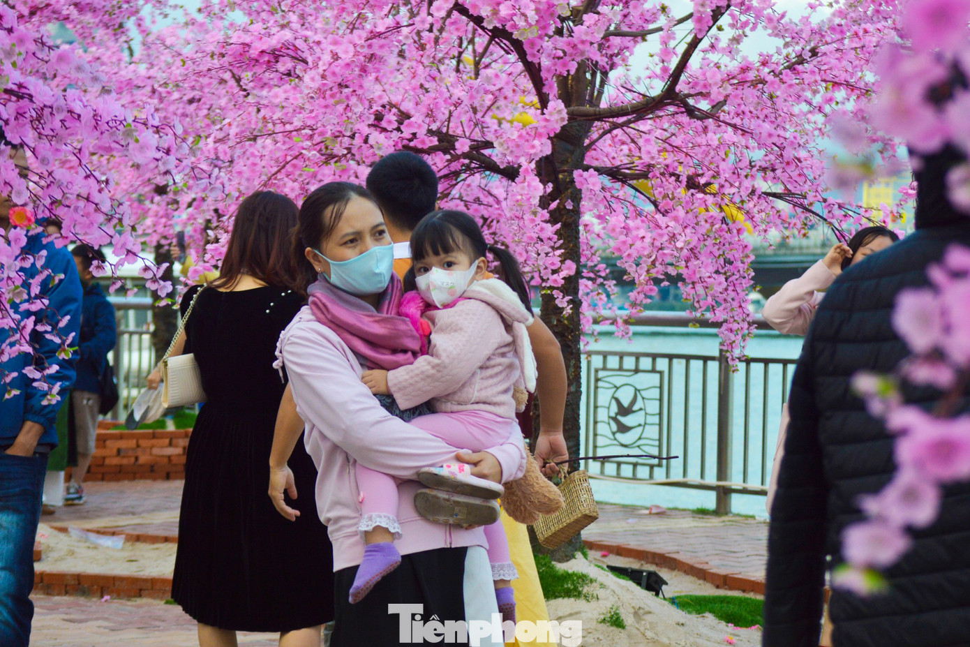 Không chỉ hút các bạn trẻ, đường hoa Xuân Đà Nẵng còn níu chân gia đình cùng em nhỏ vui chơi, chụp ảnh. Tranh thủ thời gian rảnh rỗi, anh Lê Anh Pha (35 tuổi, quận Liên Chiểu) đưa vợ và con gái đi dạo đường hoa. "Được nghỉ học là con gái tôi đòi đi xem đường hoa ngay. Cũng may mắn là những ngày này thời tiết Đà Nẵng thuận lợi để vui chơi, du xuân", anh Pha cho biết.