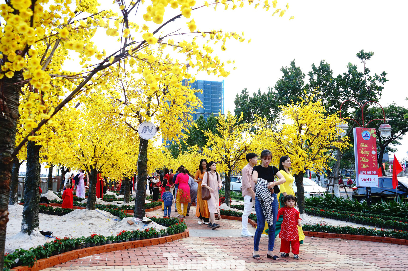 Tổng kinh phí trang trí hoa, chiếu sáng tại đường hoa Xuân Đà Nẵng là hơn 17,38 tỷ đồng. Trong đó 14,58 tỷ đồng từ ngân sách nhà nước và 2,8 tỷ đồng từ nguồn xã hội hóa.