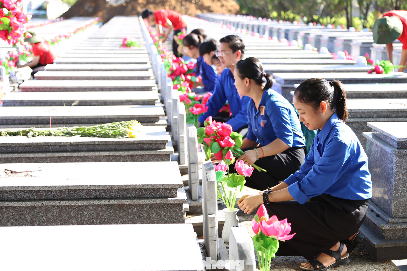 Dịp này, tuổi trẻ thành phố đã thay mới 5.000 bó hoa sen và các lọ hoa với tổng trị giá khoảng 140 triệu đồng.