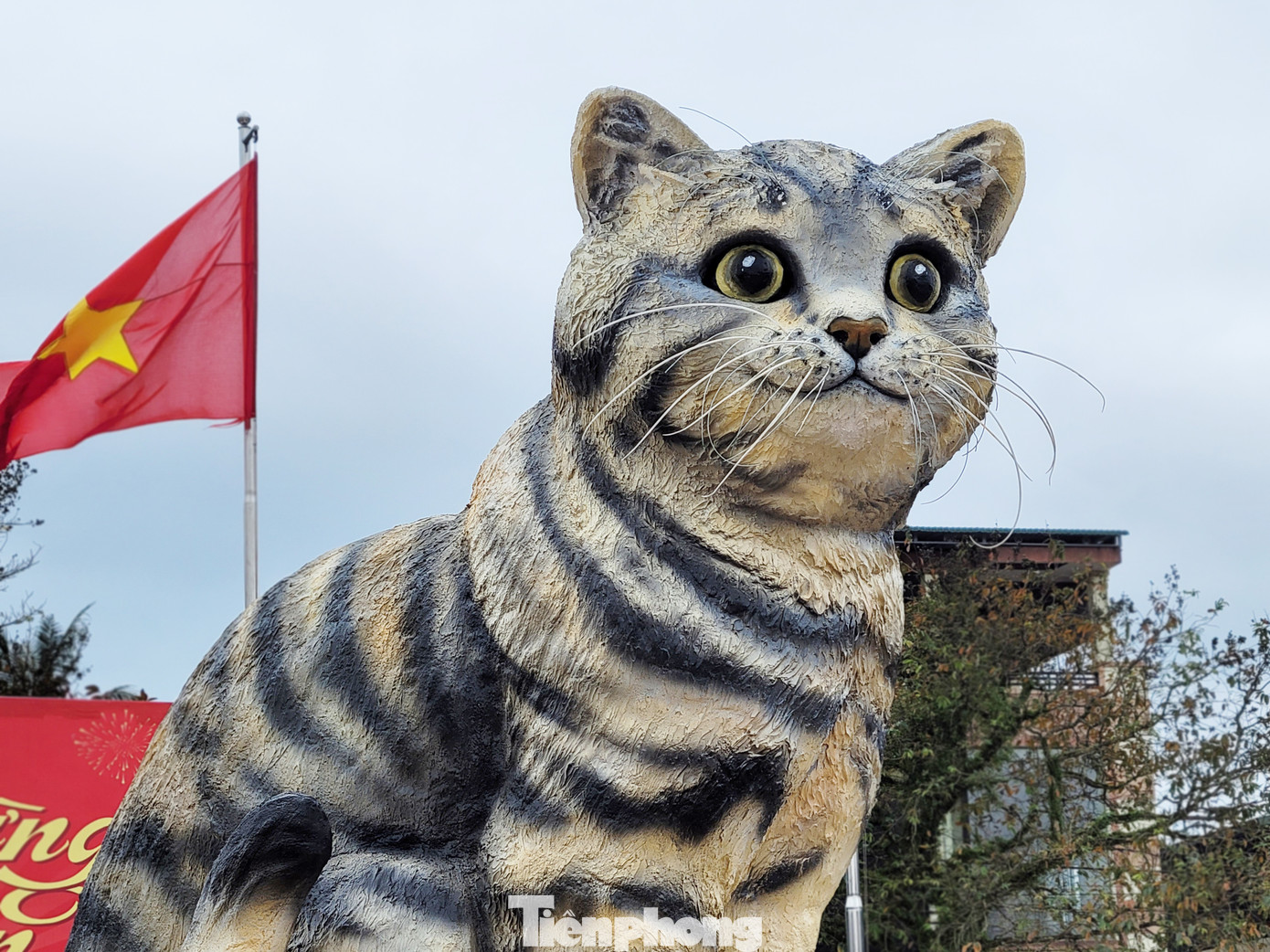 Linh vật mèo được anh Tâm làm bằng xốp và thạch cao, sau đó phủ màu, tỉ mẩn hoàn thiện từng chi tiết nhỏ. Chú mèo nặng khoảng 250 kg; cao 3,1 m; rộng 2,2 m và dài 2,8 m, với thần thái vui vẻ, hồn nhiên níu chân người dân và du khách ngang qua. Ảnh: Giang Thanh